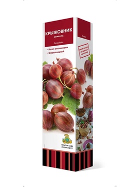 Крыжовник Арлекин 1