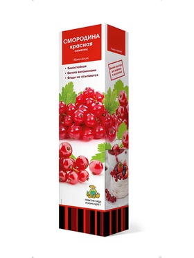 Смородина красная традиционные сорта Роза Чаир 1