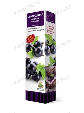 Смородина черная традиционные сорта Валовая 1