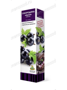 Смородина черная традиционные сорта Сенсей 1