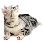 Накладные когти XS красные, 20 шт - Фото 1