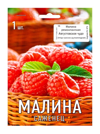 Малина ремонтантные сорта (капер) Августовское Чудо 1, Весна 2026,