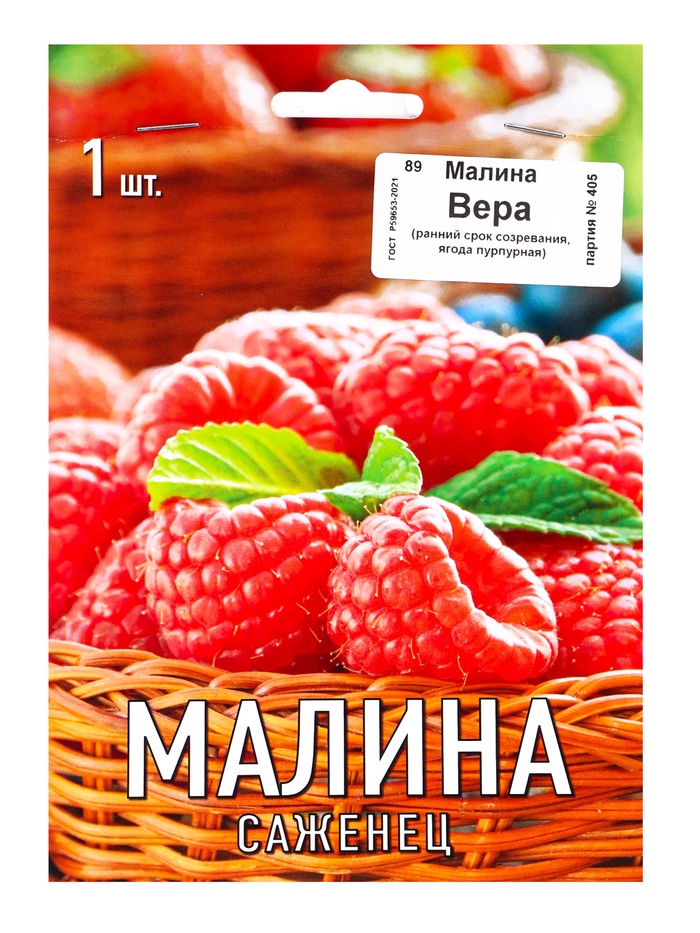 Малина традиционные сорта (капер) Вера 1, Весна 2026,