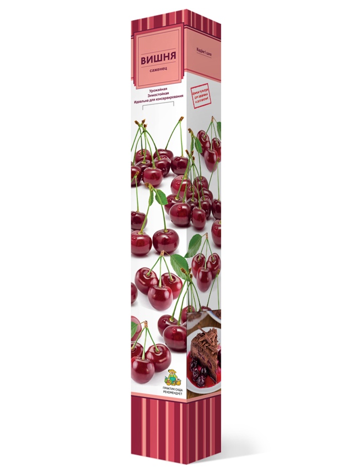 Вишня (в коробке) Апухтинская 1