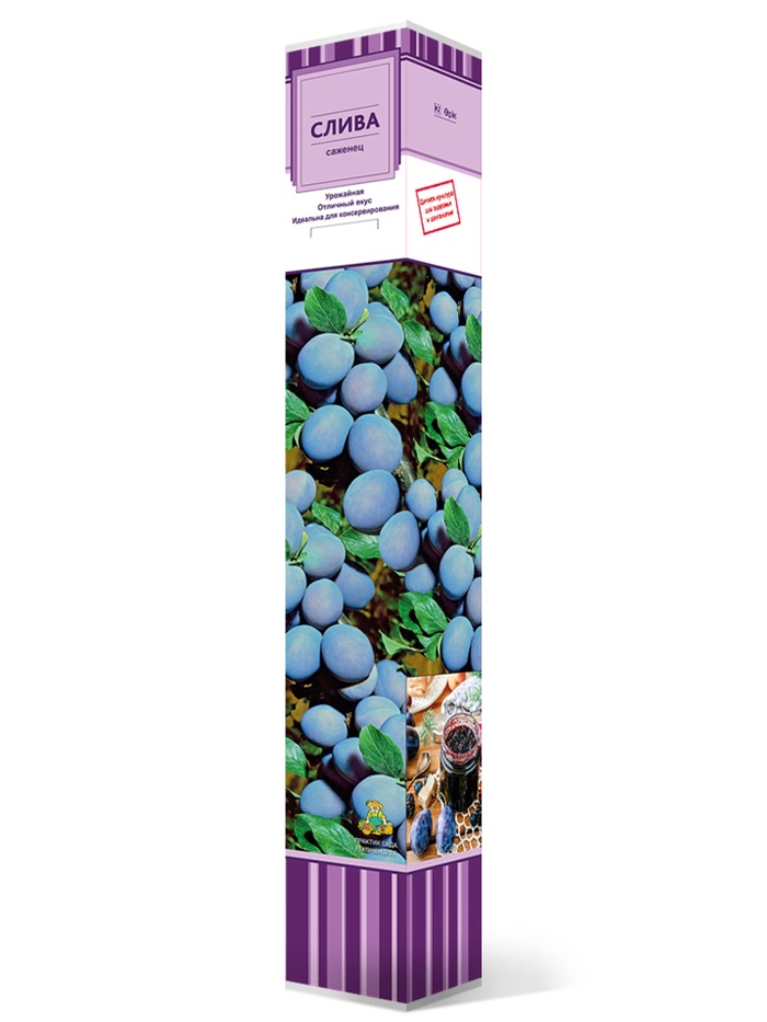 Слива (в коробке) Ренклод советский 1, Весна 2026, - Фото 1
