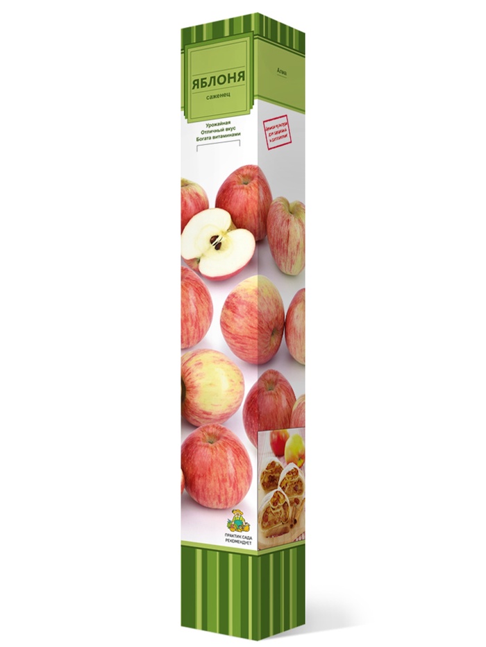 Яблоня (в коробке) Грушовка московская 1, Весна 2026, - Фото 1