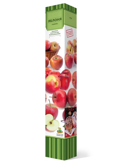 Яблоня (в коробке) Елена 1, Весна 2026,