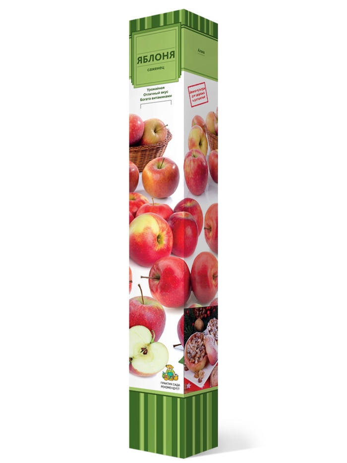 Яблоня (в коробке) Елена 1, Весна 2026, - Фото 1