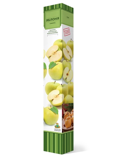 Яблоня (в коробке) Папировка 1, Весна 2026,
