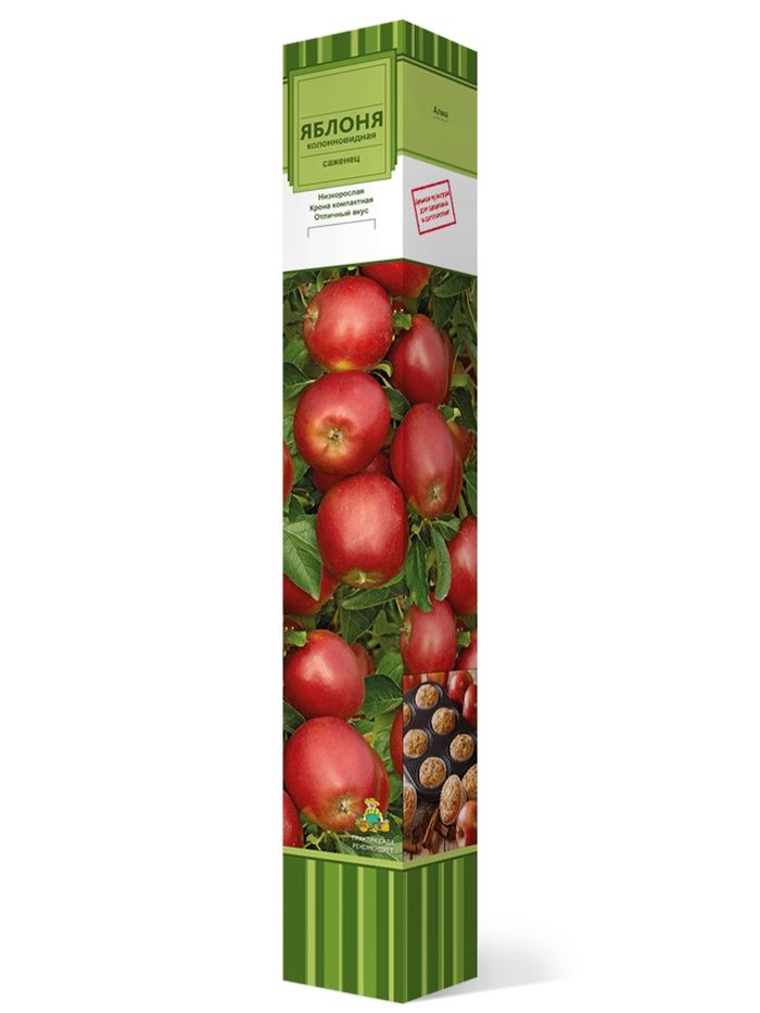 Яблоня колонновидная (в коробке) Арбат 1, Весна 2026, - Фото 1