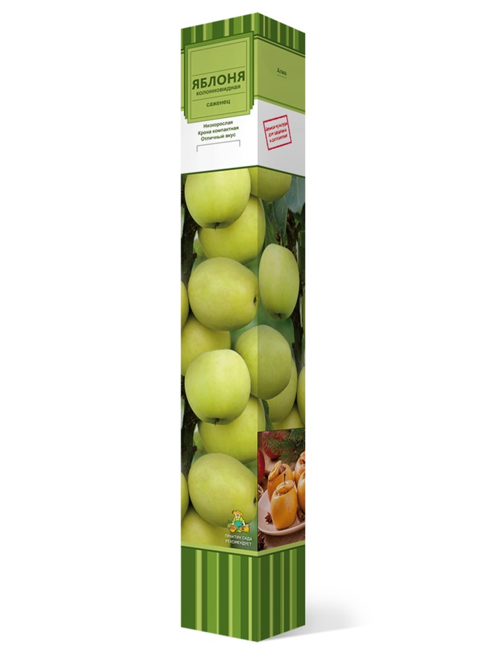 Яблоня колонновидная (в коробке) Искорка 1, Весна 2026, - Фото 1