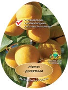 Абрикос Десертный 1  (артикул 10995659)  большой выбор товаров оптом и в розницу по низким ценам с доставкой