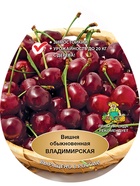 Вишня Владимирская 1  (артикул 10995667)  большой выбор товаров оптом и в розницу по низким ценам с доставкой