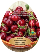 Вишня Десертная Морозовой 1  (артикул 10995669)  большой выбор товаров оптом и в розницу по низким ценам с доставкой
