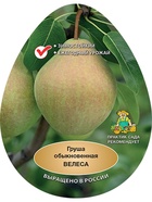 Груша Велеса 1  (артикул 10995695)  большой выбор товаров оптом и в розницу по низким ценам с доставкой