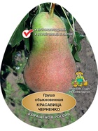 Груша Красавица Черненко (Русская красавица) 1  (артикул 10995699)  большой выбор товаров оптом и в розницу по низким ценам с доставкой
