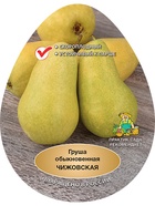 Груша Чижовская 1  (артикул 10995706)  большой выбор товаров оптом и в розницу по низким ценам с доставкой