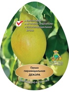 Груша пирамидальная Декора 1  (артикул 10995708)  большой выбор товаров оптом и в розницу по низким ценам с доставкой