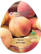 Персик Бургунди 1  (артикул 10995709)  большой выбор товаров оптом и в розницу по низким ценам с доставкой
