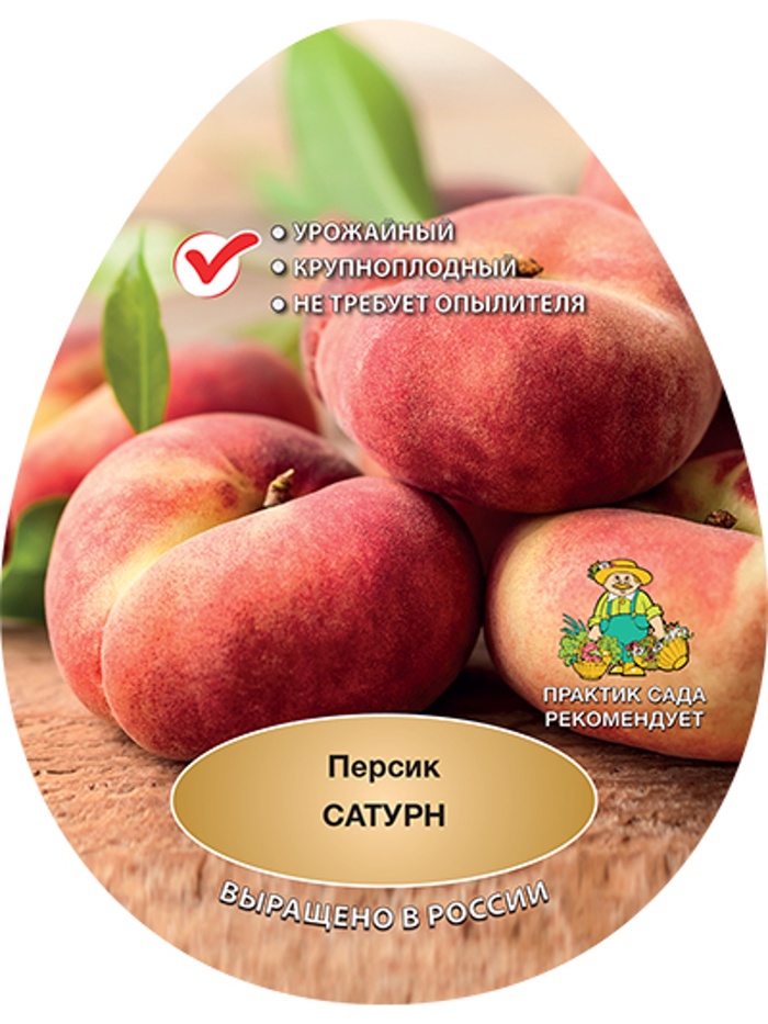Персик Сатурн 1