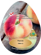 Персик Уфо-3 1  (артикул 10995714)  большой выбор товаров оптом и в розницу по низким ценам с доставкой