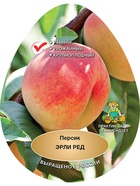 Персик Эрли Ред 1  (артикул 10995715)  большой выбор товаров оптом и в розницу по низким ценам с доставкой