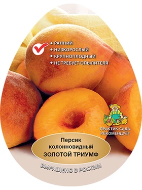 Персик колонновидный Золотой триумф 1