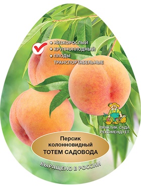 Персик колонновидный Тотем садовода 1