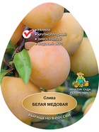 Слива Белая медовая 1  (артикул 10995723)  большой выбор товаров оптом и в розницу по низким ценам с доставкой