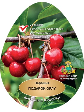 Черешня (клоновый подвой) Подарок Орлу 1