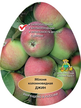 Яблоня колонновидная (подвой 54-118, полукарликовый) Джин 1