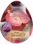 Яблоня красномякотная (подвой 54-118, полукарликовый) Байя Мариса 1  (артикул 10995798)  большой выбор товаров оптом и в розницу по низким ценам с доставкой