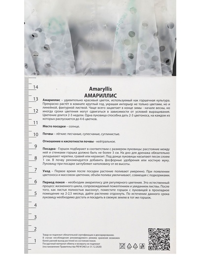 Амариллис махровый «Брайт Нимф», саженец, 1 шт., Весна 2026, «ПОИСК»