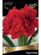 Амариллис махровый Черри Нимф * Разбор 24/26, 1 шт.  (артикул 10995842)  большой выбор товаров оптом и в розницу по низким ценам с доставкой