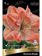 Амариллис махровый Экзотик Нимф * Разбор 22/24, 1 шт.  (артикул 10995843)  большой выбор товаров оптом и в розницу по низким ценам с доставкой