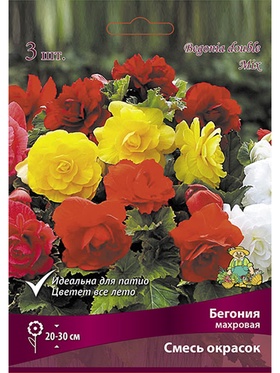 Бегония махровая смесь окрасок Разбор 4/5., 3 шт.