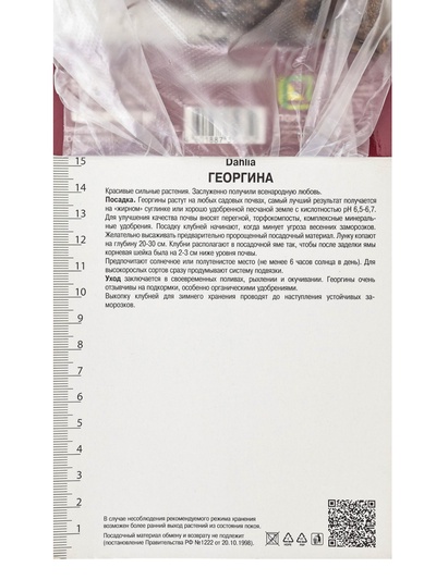 Георгина анемоновидная «Платинум Блонд», саженец, 1 шт., Весна 2026, «ПОИСК»