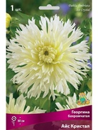 Георгина бахромчатая Айс Кристал Разбор I, 1 шт.  (артикул 10995881)  большой выбор товаров оптом и в розницу по низким ценам с доставкой