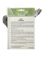 Георгина бахромчатая «Алауна Клер Обскюр» 1 шт., «ПОИСК» - Фото 7