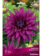 Георгина бахромчатая Амбишн Разбор I, 1 шт.  (артикул 10995883)  большой выбор товаров оптом и в розницу по низким ценам с доставкой