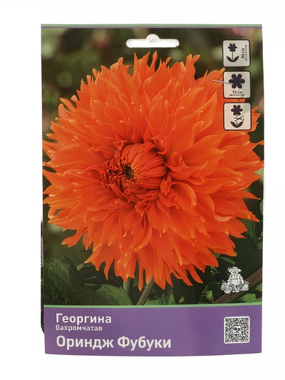 Георгина бахромчатая «Ориндж Фубуки», саженец, 1 шт., Весна 2026, «ПОИСК»