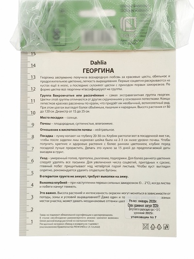 Георгина бахромчатая «Ориндж Фубуки», саженец, 1 шт., Весна 2026, «ПОИСК»