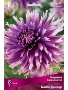 Георгина бахромчатая Тейбл Дансер Разбор I, 1 шт.  (артикул 10995888)  большой выбор товаров оптом и в розницу по низким ценам с доставкой