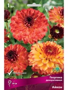 Георгина декоративная Айкон Разбор I, 1 шт.  (артикул 10995893)  большой выбор товаров оптом и в розницу по низким ценам с доставкой