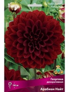 Георгина декоративная Арабиан Найт Разбор I, 1 шт.  (артикул 10995895)  большой выбор товаров оптом и в розницу по низким ценам с доставкой