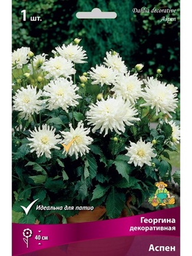 Георгина декоративная Аспен Разбор I, 1 шт.