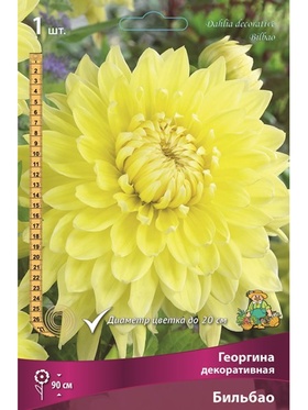 Георгина декоративная Бильбао Разбор I, 1 шт.