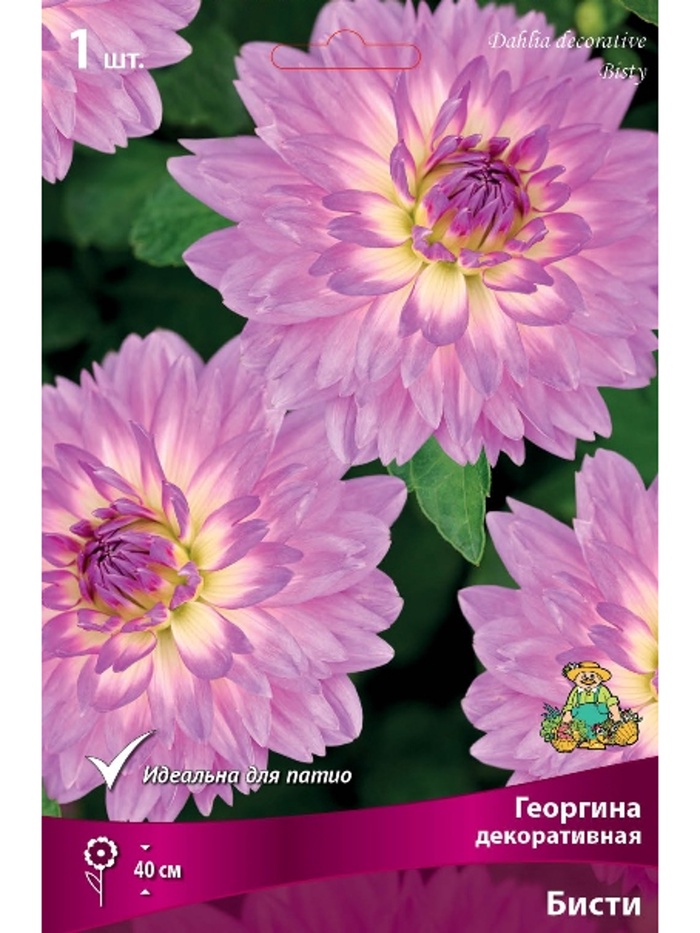 Георгина декоративная Бисти Разбор I, 1 шт.