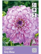 Георгина декоративная Блу Виш Разбор I, 1 шт.  (артикул 10995902)  большой выбор товаров оптом и в розницу по низким ценам с доставкой