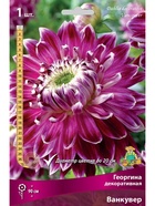 Георгина декоративная Ванкувер Разбор I, 1 шт.  (артикул 10995903)  большой выбор товаров оптом и в розницу по низким ценам с доставкой